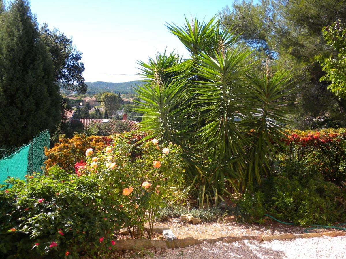 Ecrin De Verdure Sur Le Lavandou - Classement Tourisme 3 Etoiles Exterior photo