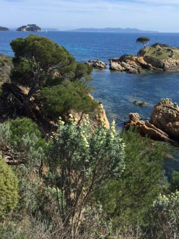 Ecrin De Verdure Sur Le Lavandou - Classement Tourisme 3 Etoiles Exterior photo